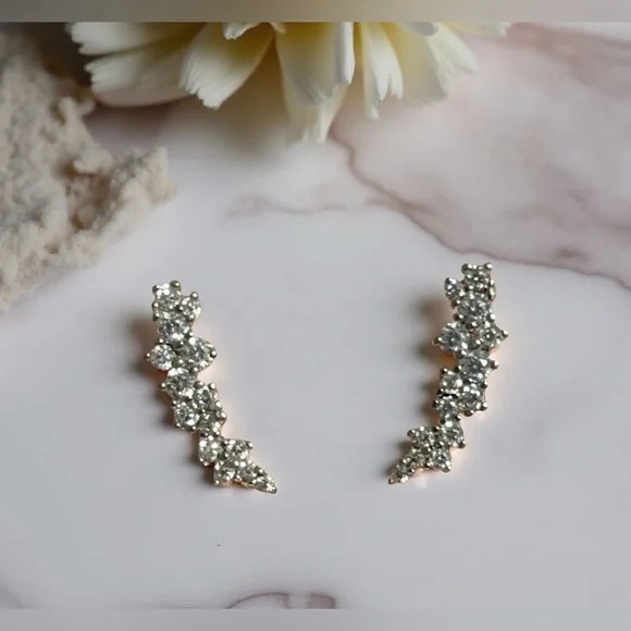 Elegant Silver Crystal Earrings 💎 - Picture 1 of 2